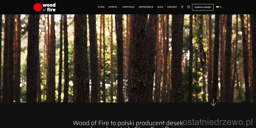 Wood of Fire DAWID PICH & ADAM SCHIRMEISEN SPÓŁKA CYWILNA
