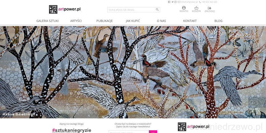 Galeria Internetowa Artpower.pl