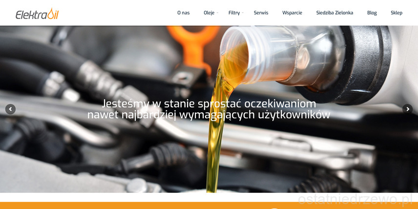 Elektra Sp.j.