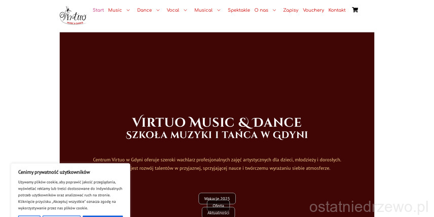 virtuo-centrum-muzyczne