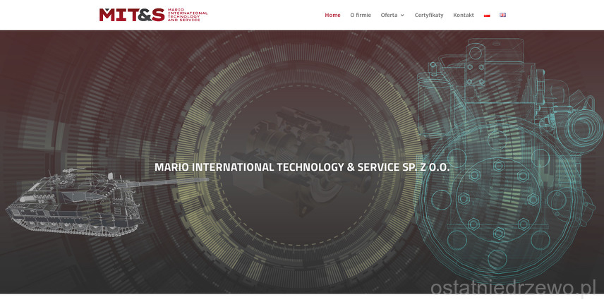 MARIO INTERNATIONAL TECHNOLOGY & SERVICE SP Z O O